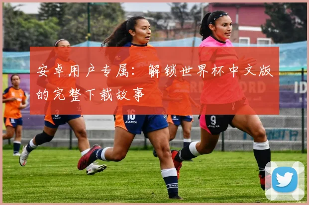 安卓用户专属：解锁世界杯中文版的完整下载故事