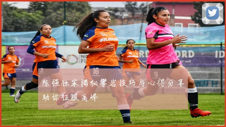 陈强独家揭秘攀岩技巧与心得分享助你征服高峰
